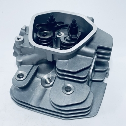 Головка циліндра 190F/192F (клапана Ø31мм, Ø36мм, ніжка Ø 6,5 мм) у зборі AGR